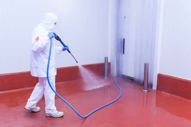 Best Driveway Pressure Washing  in Cowpens, SC